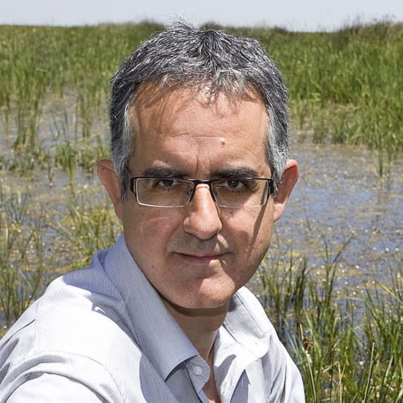 Jorge Molina | Maclein Y Parker | Editorial de libros independiente | Venta de libros online