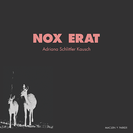 Nox erat | Adriana Schlittler Kausch | Maclein y Parker | Editorial de libros independiente | Venta de libros online